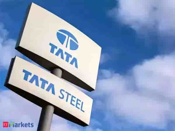 Tata Steel shares dip amid 6-8 month project delay