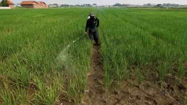 India keeps fertilizer surplus despite Middle East conflict: Government
