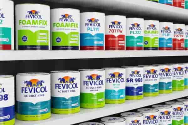Pidilite Drives Growth Beyond Fevicol via Innovation and Global Expansion