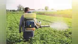 India's fertiliser exports surged 52% from FY24 to FY26