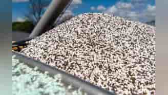 UK government aims to narrow green ammonia cost difference