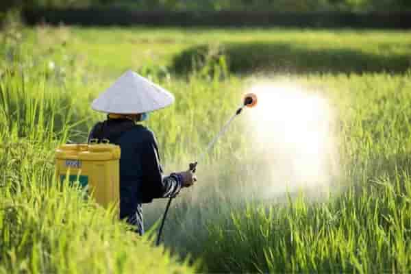 Agri & Consumer Products gets NCLT clearance for demerger