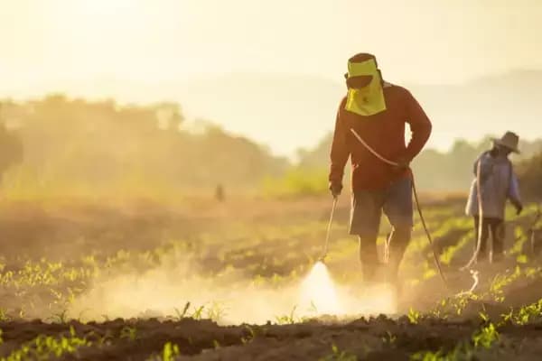 India's fertilizer subsidy may surge to ₹3 lakh crore