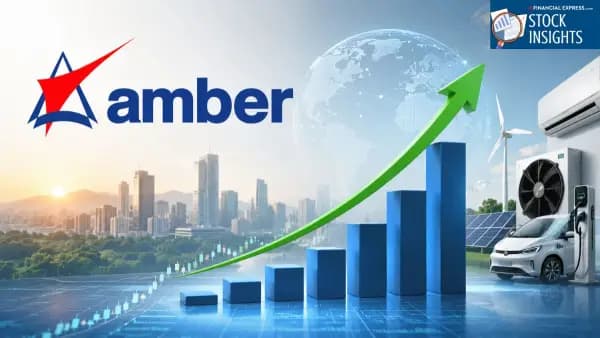 Amber Enterprises' share price outlook appears uncertain with limited da...