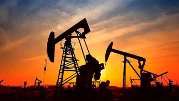 Trade shock from Gulf crisis affects India's industrial exports