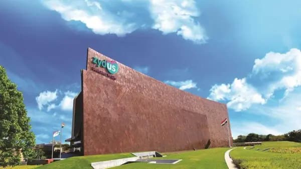 Zydus sees strong revenue growth
