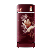 hp_bestpickforyouinref_samsung189l5stardirectcoolsingledoorrefrigeratormidnightblossomredrr21c2_3_05mar26