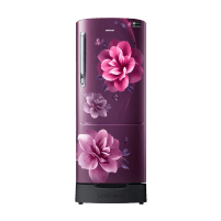 hp_bestpickforyouinref_samsung183l5stardirectcoolsingledoorrefrigeratorcamelliapurplerr20d2825c_4_05mar26