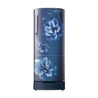 hp_bestpickforyouinref_samsung183l5stardirectcoolsingledoorrefrigeratorcamelliabluerr20d2825cun_7_05mar26