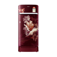 hp_bestpickforyouinref_lg260l3starfrostfreedoubledoorrefrigeratordazzlesteelgln292ddsyddszebn_5_13May26