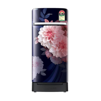 hp_bestpickforyouinref_samsung192l3stardirectcoolsingledoorrefrigeratorbluerr21h2h25bbhl_5_13May26