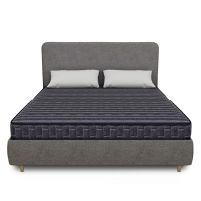 hp_catprod2_centuarydrsleep5inchorthopedicdoublesizecoirmattressmaroon7548inch_2_9jan26