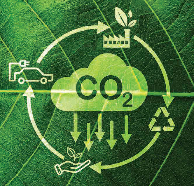 Illustration of a CO₂ cloud on a leaf surrounded by a green carbon-cycle diagram.