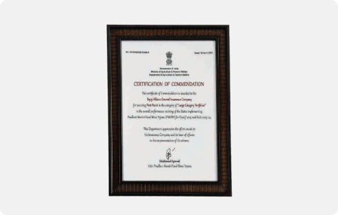 Certificate of Commendation from the Government of India